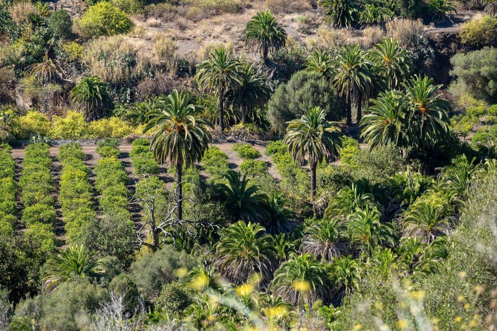 Dunaflor Verde Active & Chill Bungalow Maspalomas  Bagian luar foto